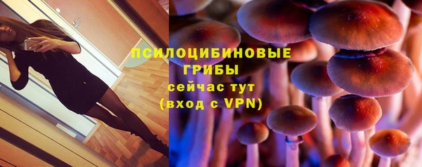 СК Алексин