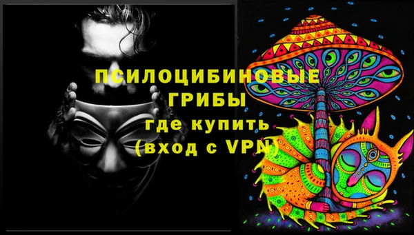 сатива Алзамай