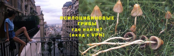 а пвп мука Горняк