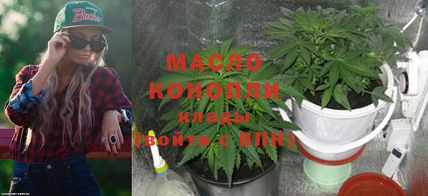 СК Алексин