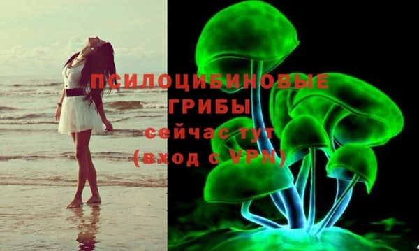 СК Алексин