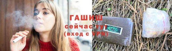 СК Алексин
