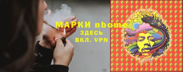 СК Алексин