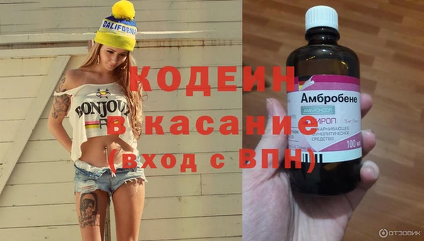 сатива Алзамай