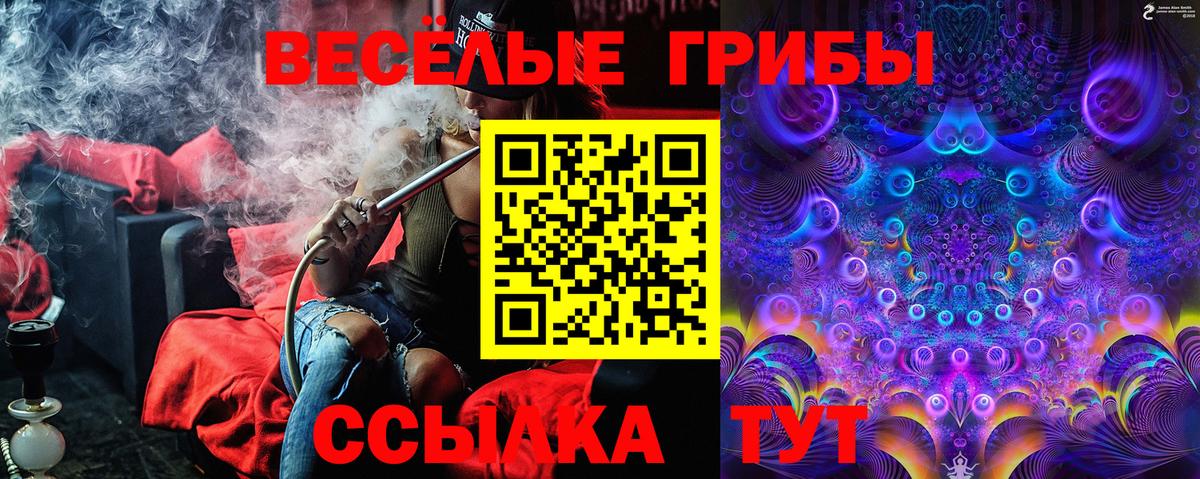Псилоцибиновые грибы Psilocybine cubensis Советская Гавань