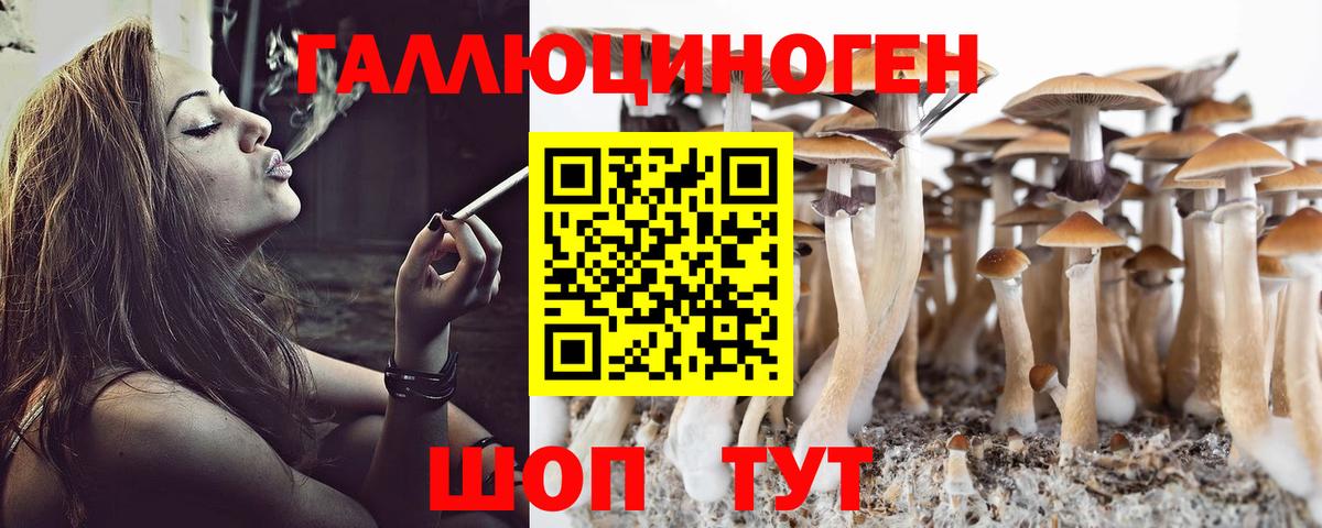 Псилоцибиновые грибы прущие грибы  Псилоцибиновые грибы GOLDEN TEACHER  Вход с VPN  Советская Гавань 